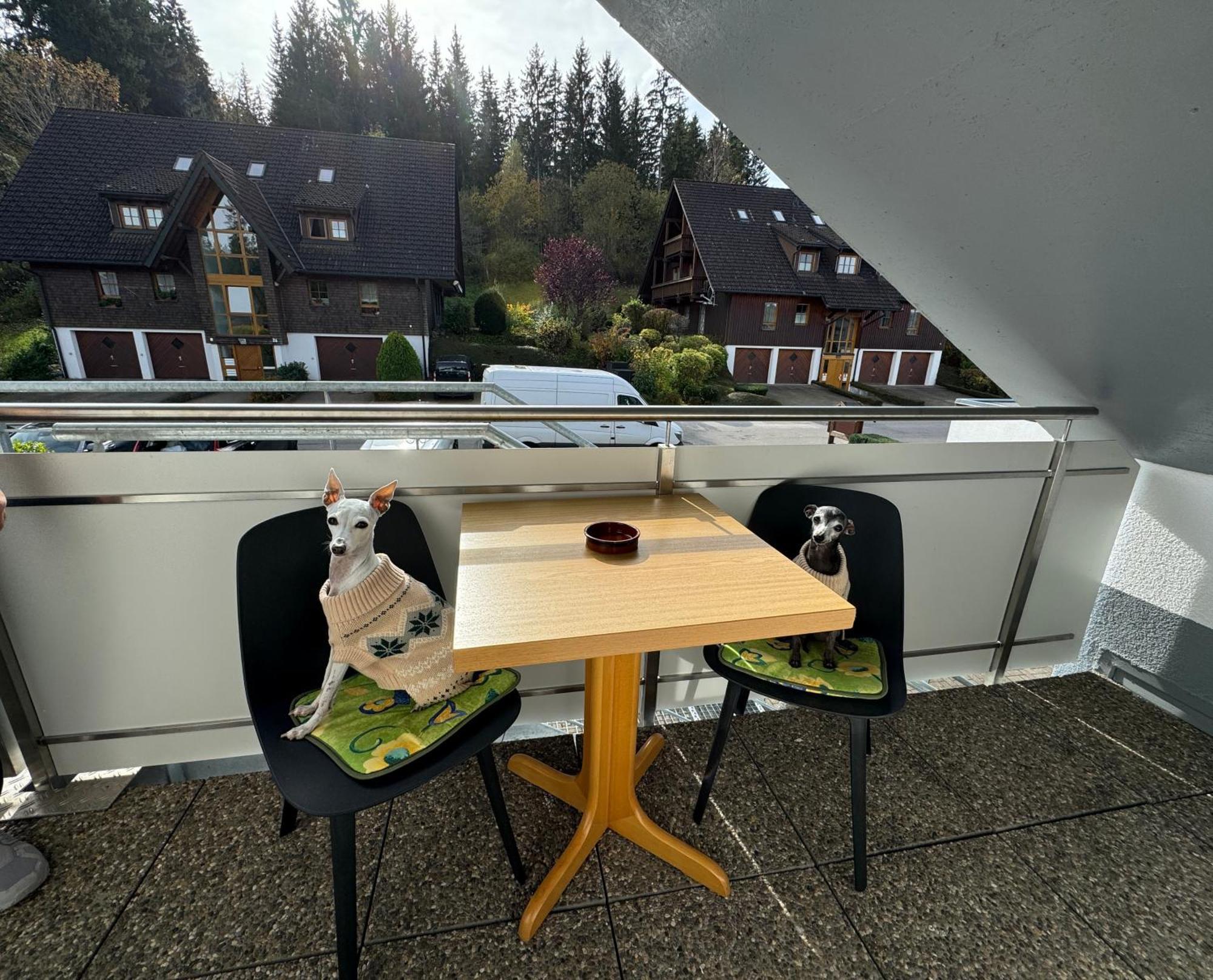 Ferienhaus Frei 4 Compact Хинтерцартен Экстерьер фото